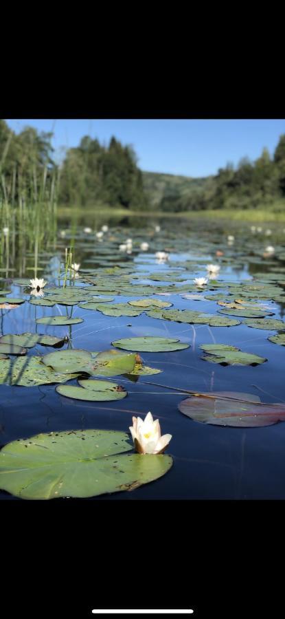 Glamping On Idyllic Lake, Paddle Boards & Rowboat Porsgrunn Exterior photo